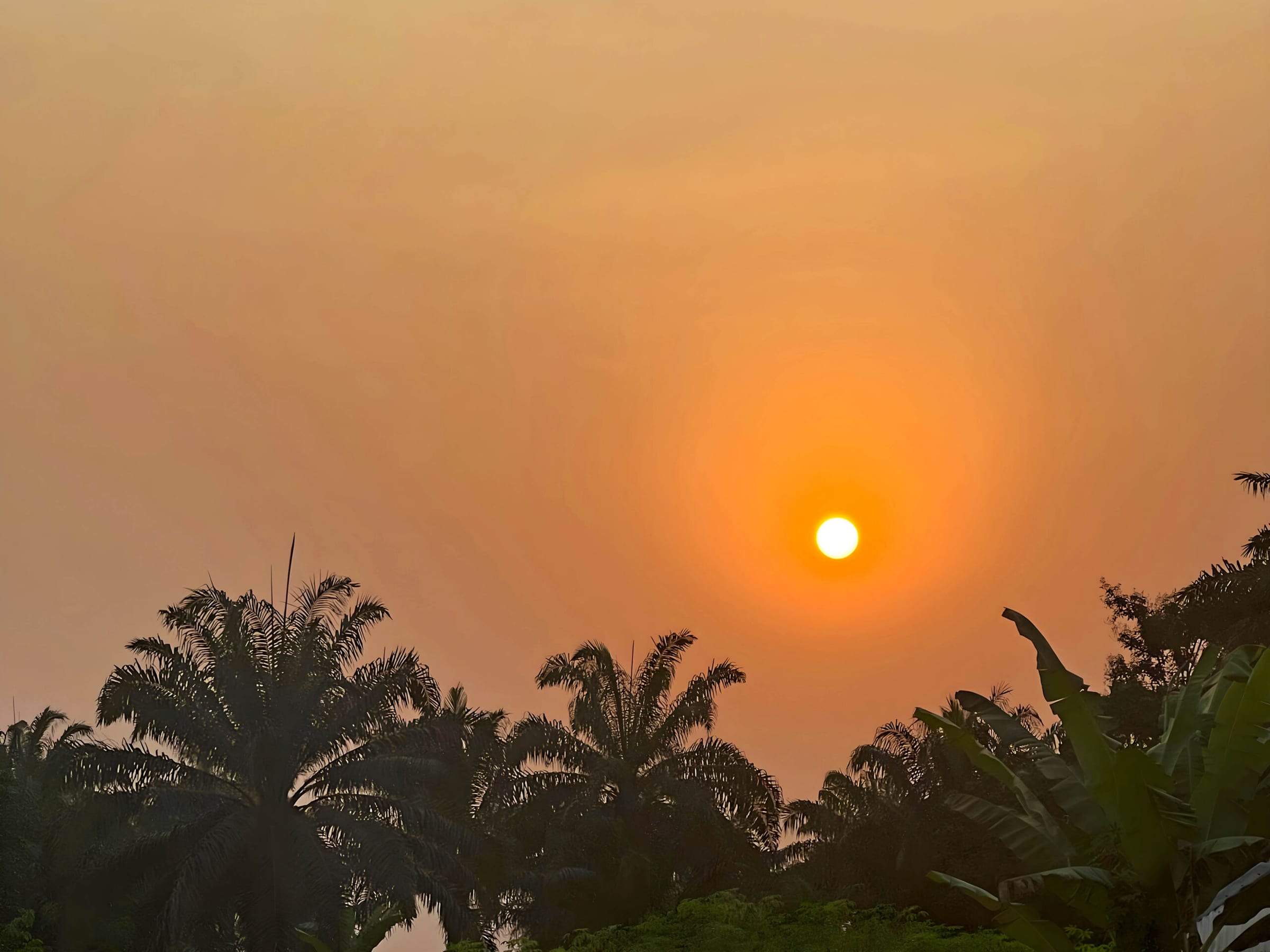 The sun setting over the palms at Ikot Nseyen
